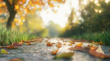 Poster - Autumn leaves scattered on a soft road with blurred grass in the background creating a serene seasonal landscape atmosphere