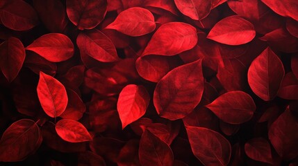 Poster - Vibrant red abstract leaves background showcasing intricate textures and tones for artistic design and creative projects.
