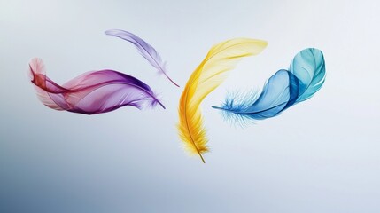 Poster - Colorful feathers are gently floating on a gradient background, creating a vibrant and ethereal scene with delicate textures and translucent colors