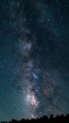 Wall Mural - Milky Way Astrophotography in August South Sky Time Lapse Vertical Shot