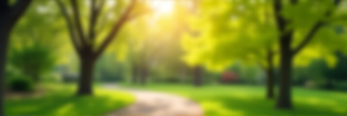Poster - Blurred bokeh of trees in a lush morning garden with greenery and vibrant colors of spring or summer seasons._00001_