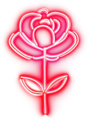 Wall Mural - PNG Light neon rose pink.