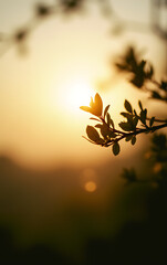 Wall Mural - a blurred image of a tree branch is visible against a bright sunlit background of nature in the earl