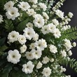 © Phetthanousack - Floral arrangement with white blooms and lush foliage, nature-inspired, graceful