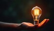 © Maryna - Hand holds glowing light bulb. Warm light illuminates dark background. Ideas, innovation, knowledge concept. Person holds incandescent bulb. Simple, creative image. Great for tech inspiration themes.