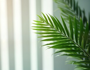 Aufkleber - Green palm leaves close up. Sunny interior setting. Light filters through window. Blank space for product presentation. Stylish, refreshing aesthetic. Ideal for summer, nature, eco themes. Decorative