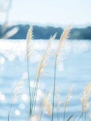 Wall Mural - Tall grass by endless lake with sparkling water. Peaceful, serene summer scene. Copy space for text design. Perfect for nature lovers, eco-tourism websites, seeking tranquility. Ideal for summer