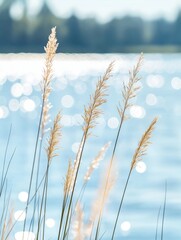 Wall Mural - Tall grasses border tranquil endless lake. Sparkling water reflects light. Summer vibes. Perfect for nature lovers anyone seeking relaxation. Picturesque natural scene ideal for tranquility, peace.
