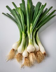 Wall Mural - Freshly harvested scallions with their roots still attached, showcasing vibrant green stalks and white bulbs.