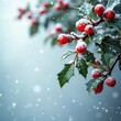 © Maryna - Snowy winter holly branch with bright red berries. Festive winter scene. Nature beauty. Christmas decoration. Seasonal imagery. Holiday atmosphere. Holiday photo. Beautiful nature scene. Plant with