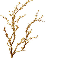 Wall Mural - 3d rendered illustration of golden branches/flora isolated on transparent background