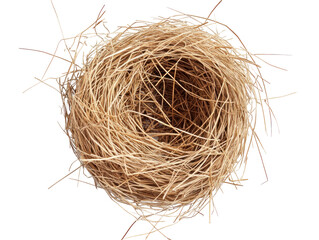 Empty Bird Nest with Straws and Twigs