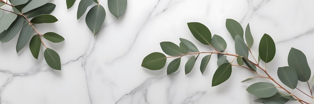 Minimalist High-Resolution Photograph of Eucalyptus Sprigs on Polished White Marble Surface