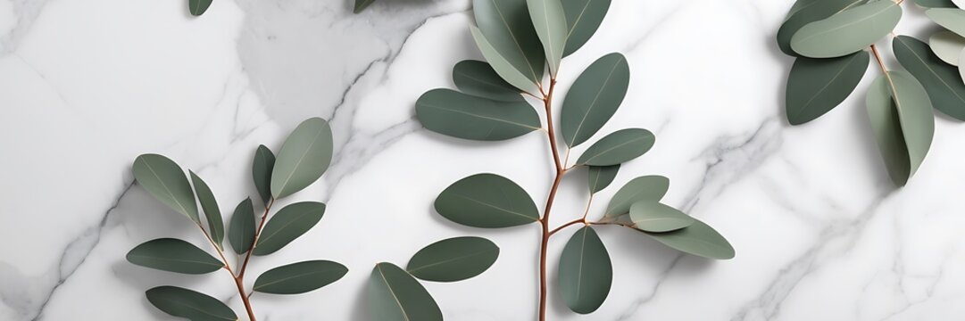Minimalist High-Resolution Photograph of Eucalyptus Sprigs on Polished White Marble Surface