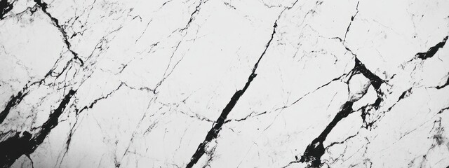 Poster - A close-up view of a marble surface showcasing its intricate white and black veining patterns.