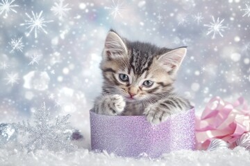Poster - A playful kitten peeks out of a glittery box amidst a wintery, festive background.