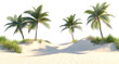 © PNGuin Studio - Tranquil sandy beach with shadows cast by tall coconut trees, evoking a sense of relaxation and paradise, isolated on a transparent background
