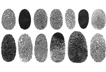  human ink fingerprint set 