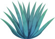 © Vector Tradition - Cartoon blue agave plant, ingredient for tequila production, desert cactus flower with sharp, spiky leaves arranged in a rosette shape. Isolated vector significant in both Mexican culture and cuisine