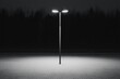 © Adisak - A solitary streetlamp illuminates a snowy area at night, surrounded by darkness and trees, creating a serene yet stark atmosphere.