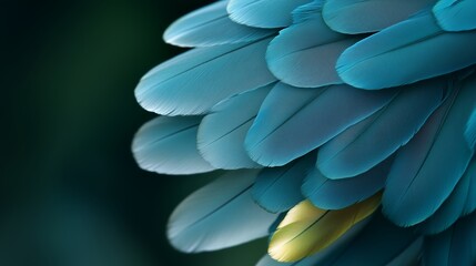 Poster - vibrant blue feathers showcasing unique texture and color variations in a natural setting