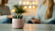 © NEW - cozy therapy room with succulent plant in focus, while two women engage in heartfelt conversation in blurred background