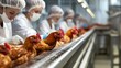 © Visioner - Workers in a Poultry Processing Facility Inspecting Chickens on a Conveyor Belt