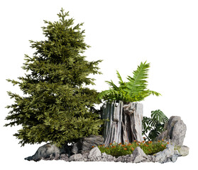 Poster - PNG plant group and tree with rock, 3d illustration rendering