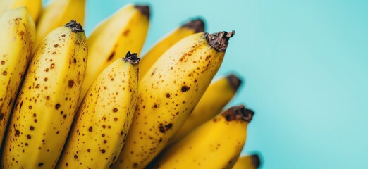 Poster - Ripe bananas cluster, vibrant yellow color, speckled texture, fresh fruit against light blue background, copy space for text