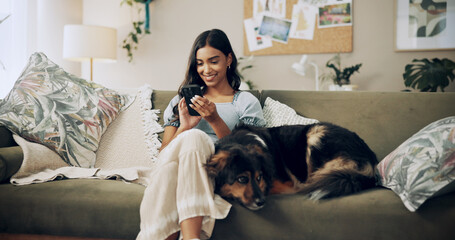 Fototapete - Woman, phone and dog to relax in home, surfing dating website and online for companion search. Female person, reading ebook and app for communication on couch, pet care and internet for animal info