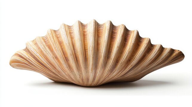 A seashell-shaped text box with sandy details.