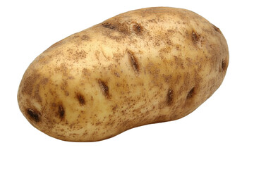 A russet potato (Idaho potato) on white