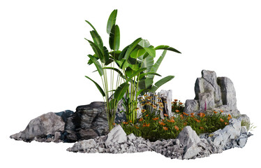 Aufkleber - Plant and grass group PNG transparent background, 3d illustration rendering