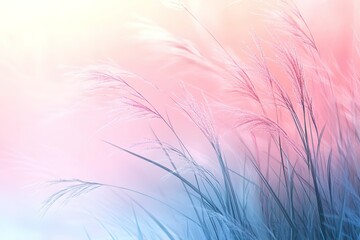 Wall Mural - A field of grass with a pink and blue background