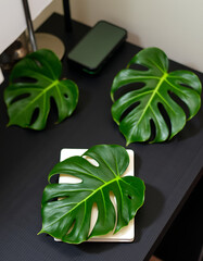 Fototapete - Tropical leaves and office accessories are arranged on a flat, black surface in a home workspace setup._00002_