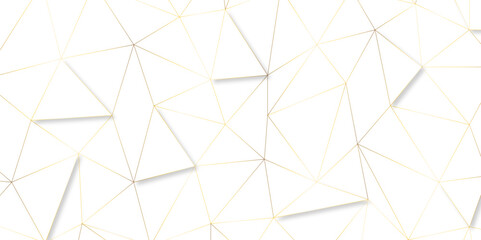 Leinwandbilder - Geometric low poly graphic. Background of triangular facets. editable stroke width, golden gradient abstract triangle seamless pattern from network triangular cells, wallpaper background design.	