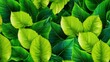 © AMIRUN - High-Resolution Green Leaf Seamless Pattern Photography