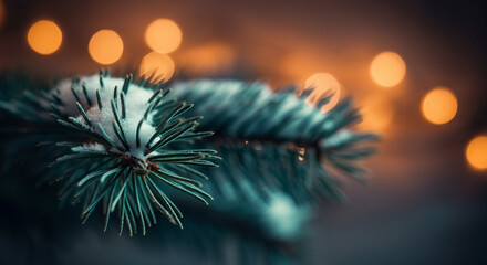 Poster - Pine branch covered in snow with bokeh lights in winter setting