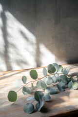 Sticker - Eucalyptus leaves on wood