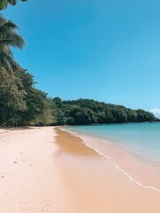 Poster - Sandy Beach with Palm Trees