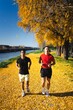 © Studio Marmellata - Two men jog side by side on a vibrant trail covered with yellow autumn leaves, framed by tall trees and a serene river under a clear blue sky