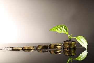 Money growth concept. Coins, sprout and soil on mirror surface. Space for text