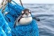 © typepng - A penguin caught in a plastic net highlights the issues of marine plastic pollution and nature conservation.