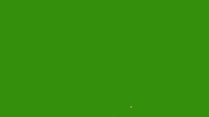 confetti falling on green background 4K celebration party birthday colorful, Animation of golden confetti paper falling down slowly on transparent screen. Birthday celebration party. 4K alpha channel