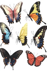 Poster - A group of colorful butterflies perched on a clean white surface