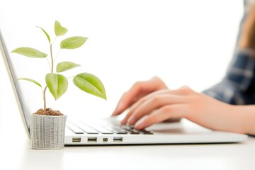 Poster - A person working on their laptop with a plant emerging from the keyboard, great for scenes about technology and nature coexisting