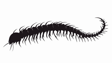 Detailed Centipede Vector Silhouette on White Background
