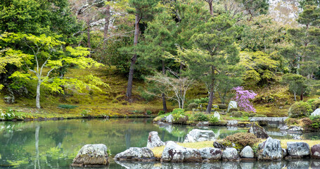 Wall Mural - Japanese garden with pond a Spring day, Blooming trees, moss covered rocks, calm water