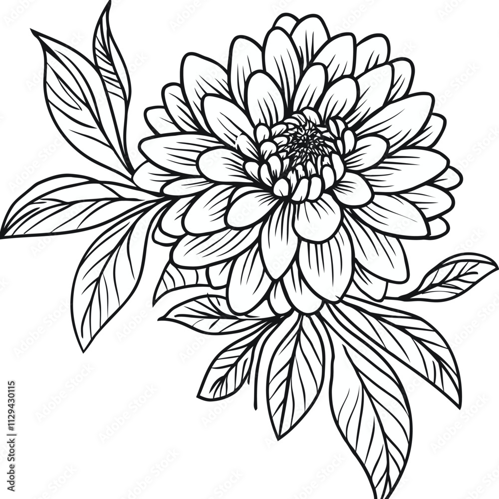 Flower line art vector illustrations are set isolated on a transparent ...