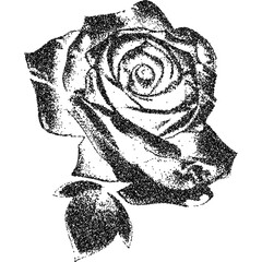 Fototapete - Rose blossom flower, collage element with vintage stipple photocopy effect, with retro grainy texture. Vector illustration for grunge psychedelic surreal poster or tattoo in 90s aesthetic.